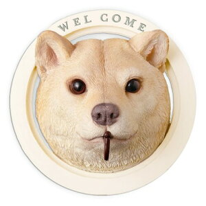 LV} kishima K[fjO  IuWF G  tbN   i` Ck KH-61246