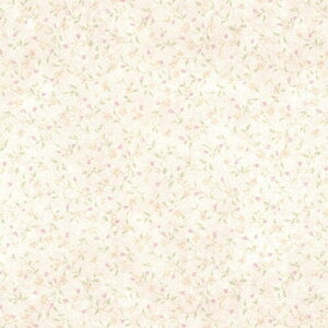 アサヒペン 壁紙 水だけで貼れるカベ紙 幅92cm×長さ5m SK-16 再湿タイプ 再湿のり付き 防カビ仕様 シックハウス対策品 日本製