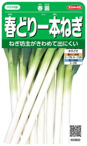 TJ^̃^l 3802 tǂ{˂ t 00923802