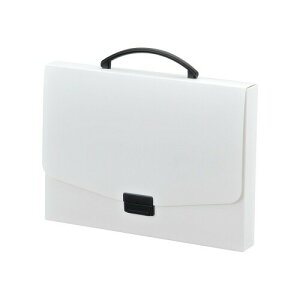 ���q�g���u �o�b�O �A�N�A�h���b�v�X A4 �� A5005-0