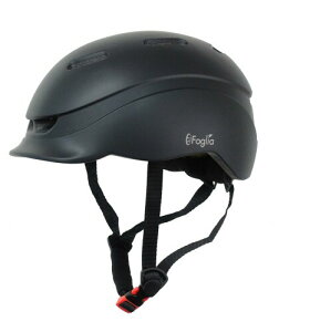 tHOA(FOGLIA) A[owbg V[gu ] wbg l X ubN CEKi BKiKi TBG-2-BK