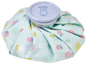 XP[^[(Skater) X̂ XX ACXobO M 21cm ~btB[ ICB2-A