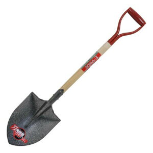 C[o[(E-Value) ؕVx  n挤 ŷ悢n}[g[ EWS-3