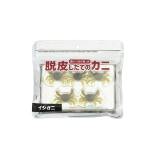 FIVE STAR E炵ẴJj I[ N_C JTS LWn^ ACi `jO Ƃ t[O (CVKj)