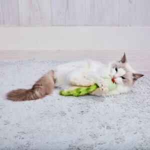 �A�h���C�g (ADD. MATE) �L�p�������� �����O�e�[���}�E�X �t�@�[�e�[��