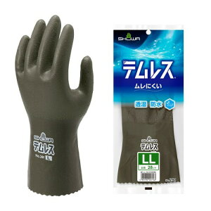 (V[O[u) h No.281 eX LLTCY I[uO[ 1o