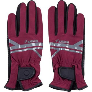 hatachi(n^`) EgXgb`O[u GSteuN (bh8029-66) C SM