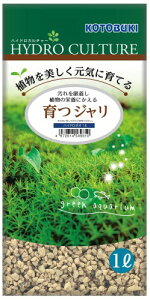 H| RguL W nCh[I 1L ̑ ͒