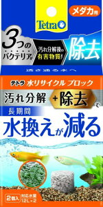 eg (Tetra) TCNubN_Jp2 炷 ꕪ+LQ oNeA