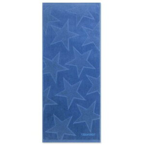 (Hayashi) tFCX^I 34×80cm Ro[X N[X^[ u[ FN493701