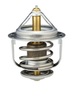 (TAMA) T[X^bg z_ ANeB WV48B-78 Ήԍ 19300-P36-003 {goCpX^  C  i