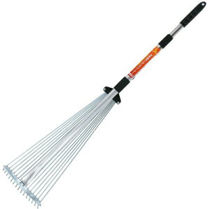 ߗ^(KONYO) t@~[c[ W(_u)LkK[f[L F