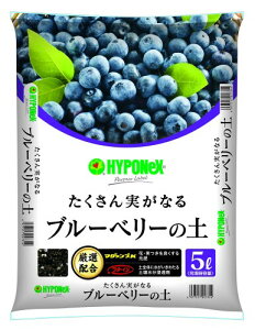 nC|lbNXWp p|{y u[x[̓y 5L