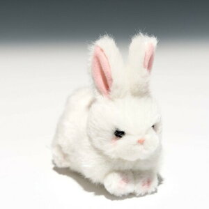 たけのこ プチプチらんど A ウサギ 白 ぬいぐるみ 58432