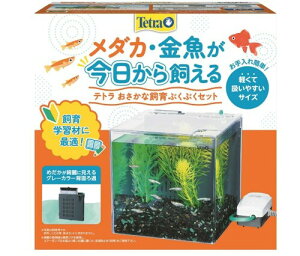 eg(Tetra) Ȏ ԂԂZbg SP-17BU  tB^[tZbg _JZbg Zbg ANAE CeA