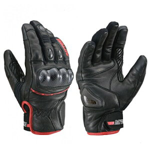 fCgi(Daytona) oCN O[u ~ v(Mv) h h J[{veN^[ X}zΉ AWX|[cV[gO[u HBG-058 ubN/bh MTCY 22181