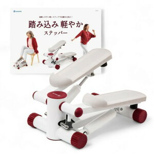 B-SANTE(rTe) }bgtÉ݉^ ݍ݌y₩Xebp[ 3B-3670