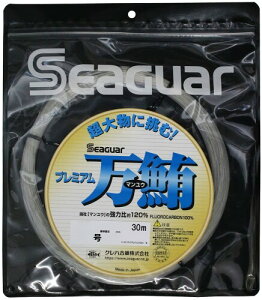 V[K[(Seaguar) V[K[ v~A 30m 24 NA