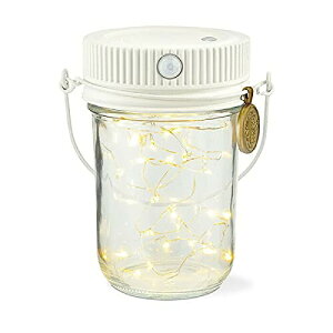 KISHIMA LV} 펞_ lZT[ LEDCg zCg