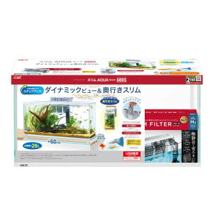 WFbNX GEX XANAZbg600X 60×s17×29cm sX ȒPXtB^[Mt