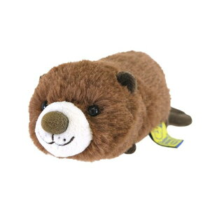 T xCr[Aj}Y S r[o[ BR 7×22×5.5cm ʂ ̐Ԃ 킢 ӂ Aj} P-1203