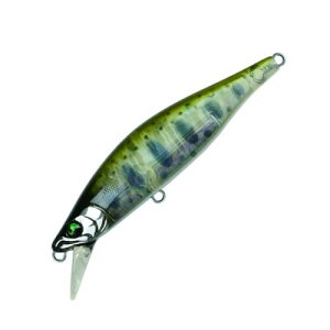 oXfC(Bassday) ̂̂ 64S Mo-029 PCNA[}