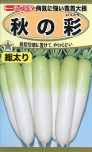 Ѓg[zN aCɋ卪 H̍ 05823