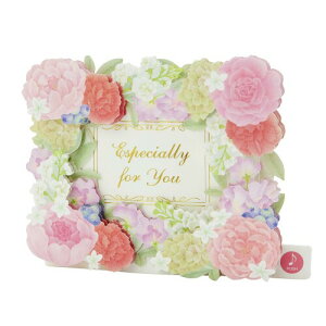 TI fB[J[h bZ[WJ[h t[t[ IS[J[h COA JPME57-3 SANRIO 629952