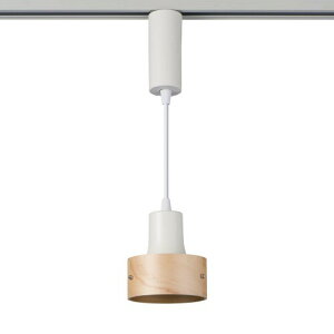 Gp (ELPA) LEDCeBOo[pCg CeA  ԐڏƖ AC100V 50/60Hz 320lm LRS-PW01D(IV)