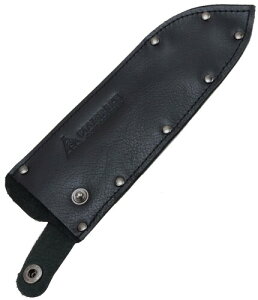 �З͏��� PTYGRACE �A�E�g�h�A�p ��P�[�X �n�n��16cm���x �V�R��v ���{�� �u���b�N