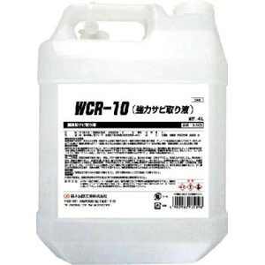 SYK WCR|10i̓Trtj 4L S-2903