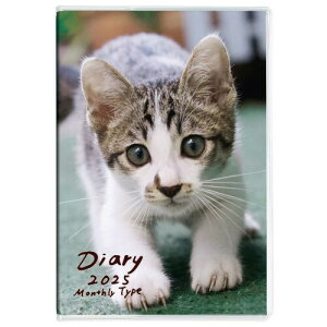 m[g_CA[ 2025N ^A6^˂1 NS-A601-25CA1