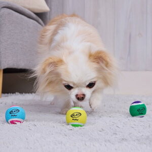 yeBI (Petio) p PLAY XNC[J[ejX{[ SS 3Zbg