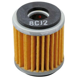 fCgi(Daytona) oCN ICtB^[ }nn Z[250 Ȃ vCXICtB^[ 98750 ʂNo:F-22