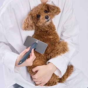 yeBI (Petio) Lp FIXCARE s悪D₷ \tgXbJ[uV M