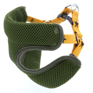 yeBI (Petio) JW X^[xXgn[lX IW ^p L TCY