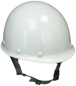 (~hS) yʃwbg Ɨp FRP Yh~ SCLM RA KPt X[p[zCg