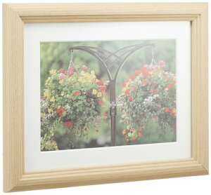 FUJICOLOR z YM-3 Lrl ؒn 2L ؐ x[W 55224