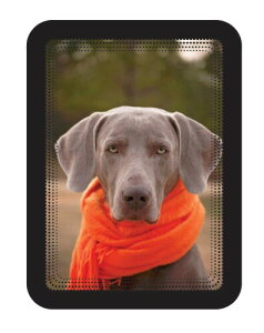 tarifold fBXvC|Pbg }Olbg^Cv A6TCY 2 ubN 194937