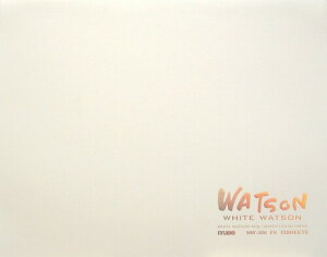 ~[Y ʎ zCgg\ubN F4 300g zCg 15 HW-304 F4