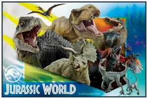 XP[^[(Skater) qp W[ V[g lp STCY  60×90cm WVbN 24 j̎q VS1-A