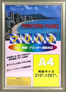 C^ z vpl JISTCY A4 A~t[ O[ PA-20SG-A4
