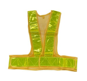 ˈSxXg V[g CG[×CG[ t[TCY 292508