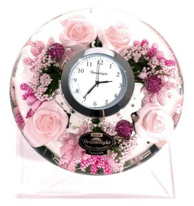 h[Cg Ԏv/h[NbN UFO~j (X^ht) g[Y a11.0×H4.0cm({) CDD7297CL