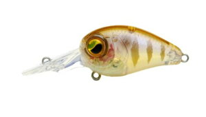 ���C�h�W���p��(Raid Japan) LEVEL CRANK PING (���x���N�����N �s���O) 008.�X�P�x�M�� (LCP008-SUKEBE GILL)