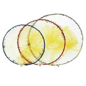 DAITOU(_CgEuN) t[ԃZbg 60 K^