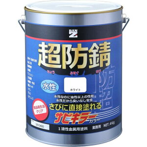 BANZI TrL[ J[ zCg 4kg