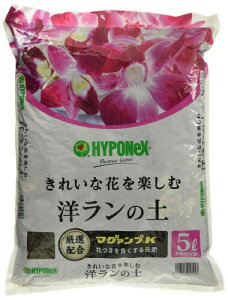 nC|lbNXWp p|{y m̓y 5L