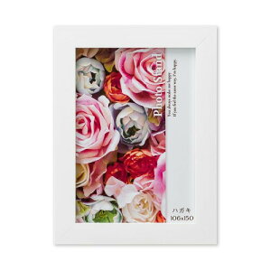 ��� �z�� �ʐ^�� �v���[�k ������ �n�K�L �z���C�g R08702103