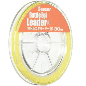 V[K[(Seaguar) [_[ V[K[ ogGM[_[II 30m 2 CG[
